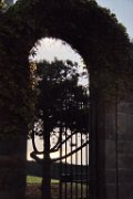 009. Contre-jour