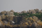 102. La faune de l'archipel