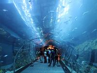 Aquarium