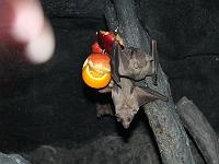 IMG 0319