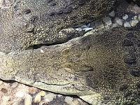 IMG 0333