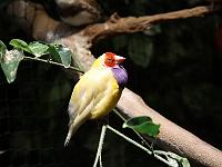 IMG 0345