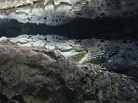 IMG 0369