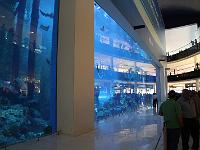 IMG 9981
