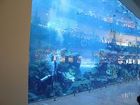 IMG 9985