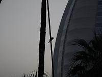 IMG 2206