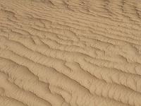 IMG 0613 v2