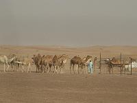 IMG 0645 v2