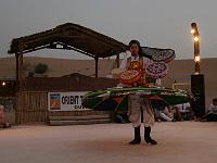 IMG 0960 v