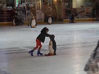 IMG 0451