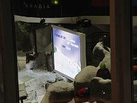 IMG 0581