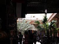 IMG 1420