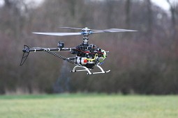 IMG_2949