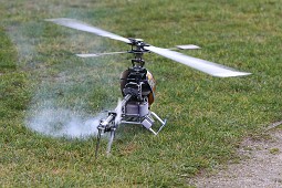 IMG_2976