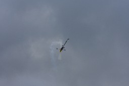 IMG_2992