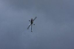 IMG_3017
