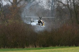 IMG_3029