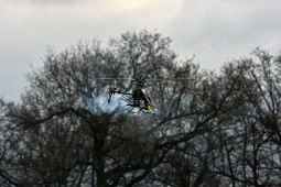 IMG_3062