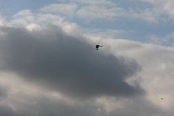 IMG_3068