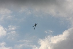 IMG_3095