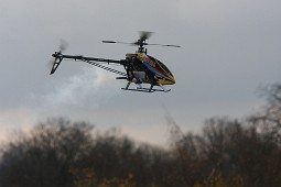 IMG_3110