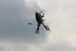 IMG_3141