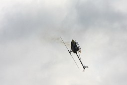 IMG_3153