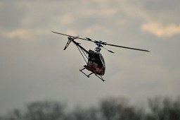 _DSC0935