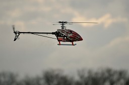 _DSC0937