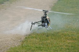 _DSC0954