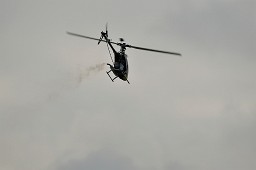 _DSC0963
