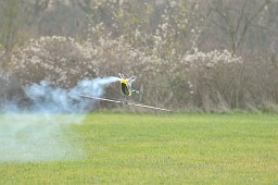 _DSC0964