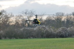 _DSC0973