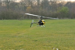 _DSC0974