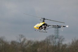 _DSC0980