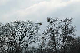 _DSC0983