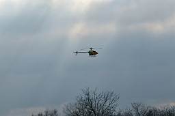 _DSC0984