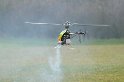 _DSC0992